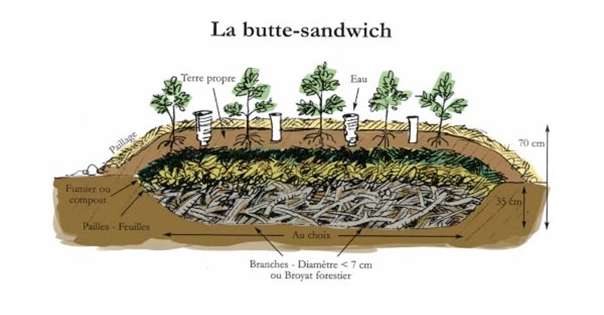 La butte sandwich de Robert Moretz