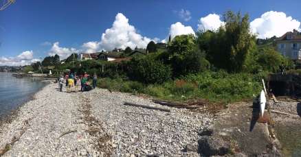 La plage après le passage des bénévoles