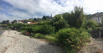 La plage ouest de Villette avant l’arrachage