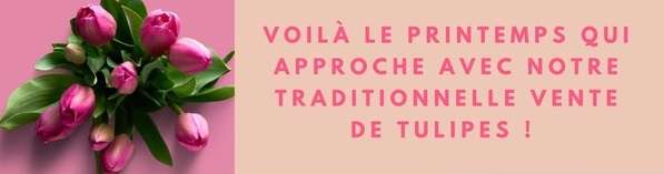 Soroptimist - Vente de Tulipes 24